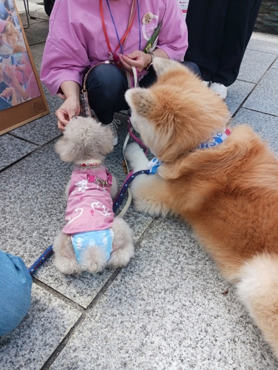 アニマルセラピー