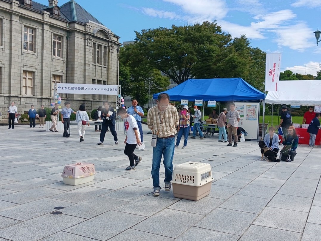 参加型イベントじっと