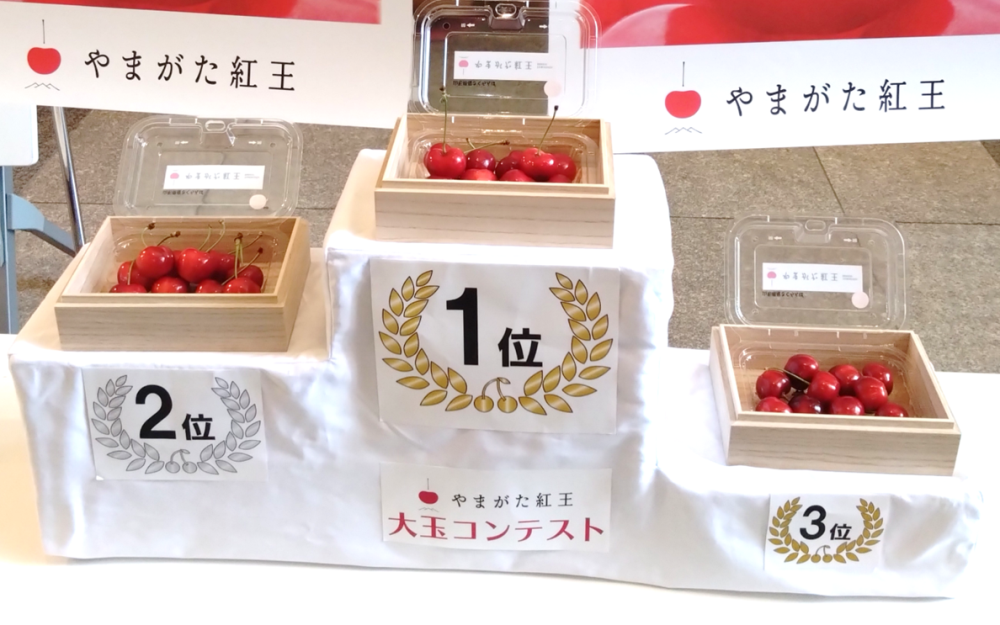 第4回表彰台