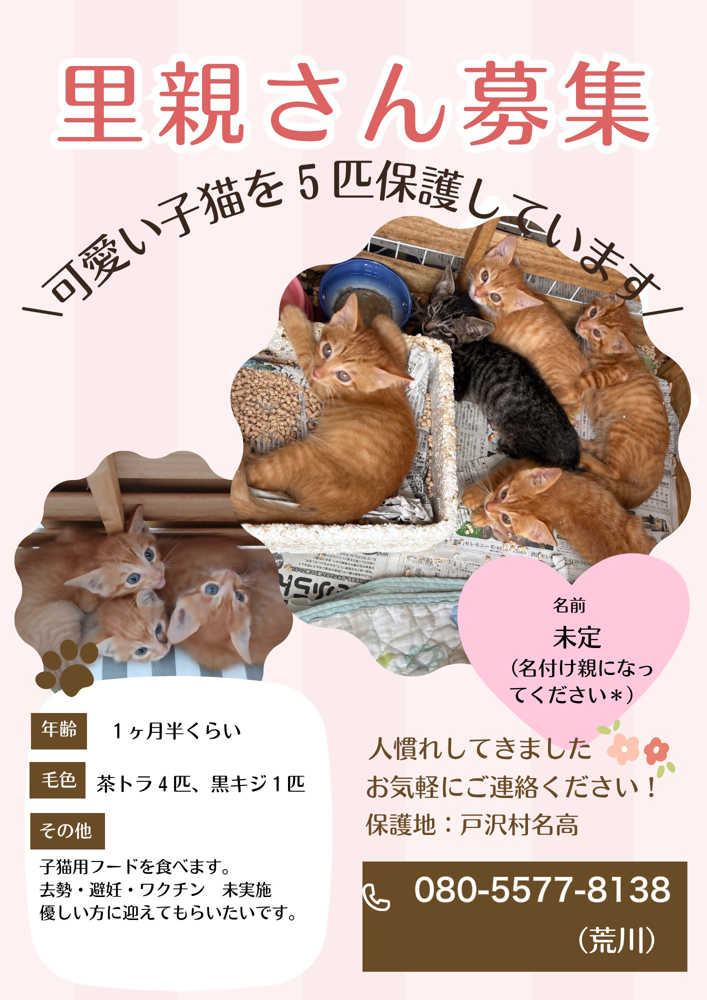 tozawa_shusei