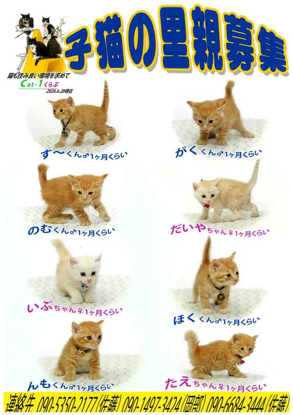 cat1a