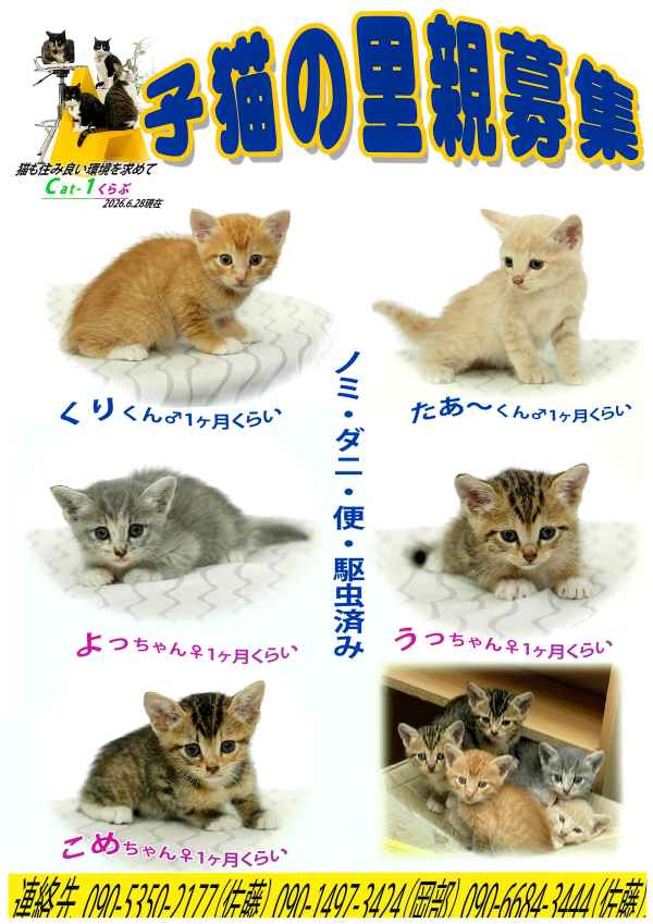 cat1c