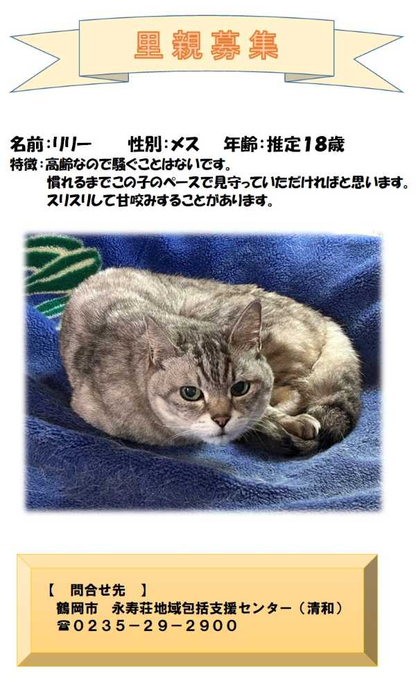 eiju