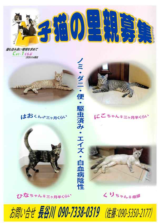 cat1