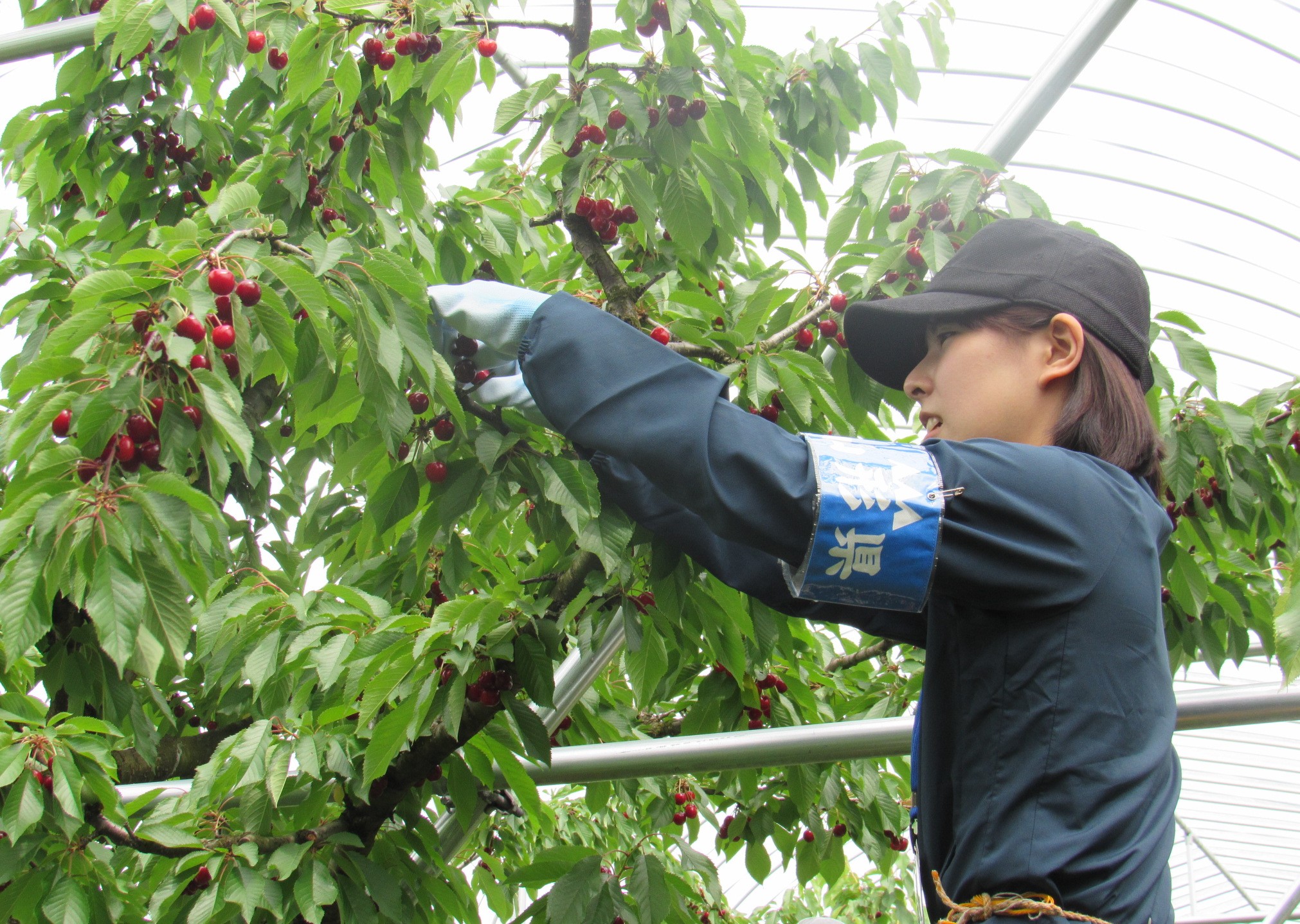 R7新採研修（第2期）写真